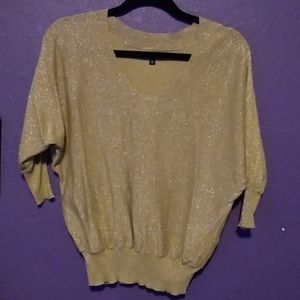 Express sparkly sweater XS